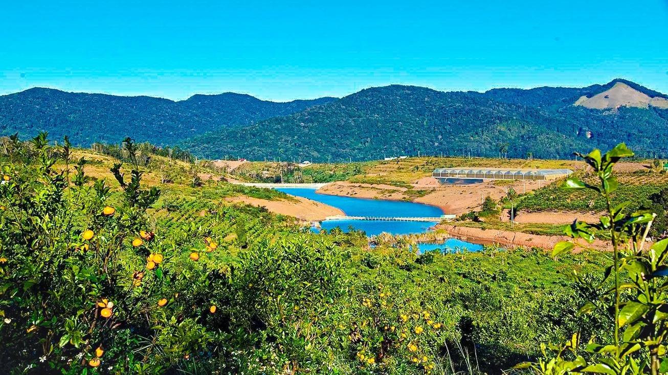 Image: Eco City [6 weeks]