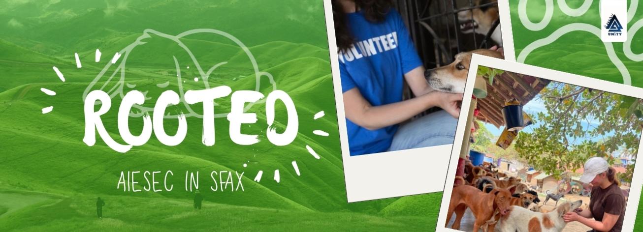 Image: Rooted [4 weeks]