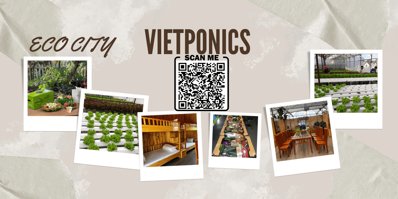 Image: Eco City [6 weeks]