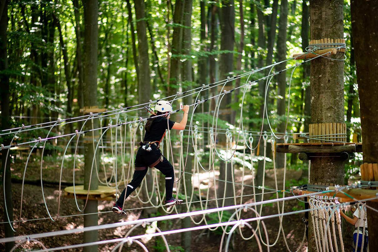 Image: Explorer [6 weeks]