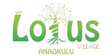 Lotus Çocuk Akademisi - Company Logo