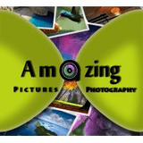AmazingPandph Digital Media Management - Company Logo