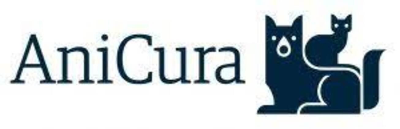Image: Financial Reporting Intern Anicura (EU-preferred)