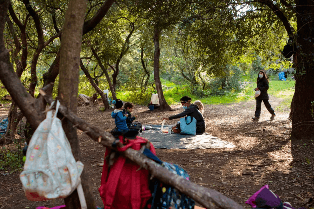 Image: Green Leaders [6 weeks]