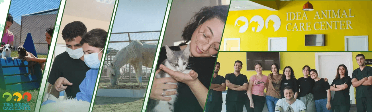 Image: Rooted [4 weeks]