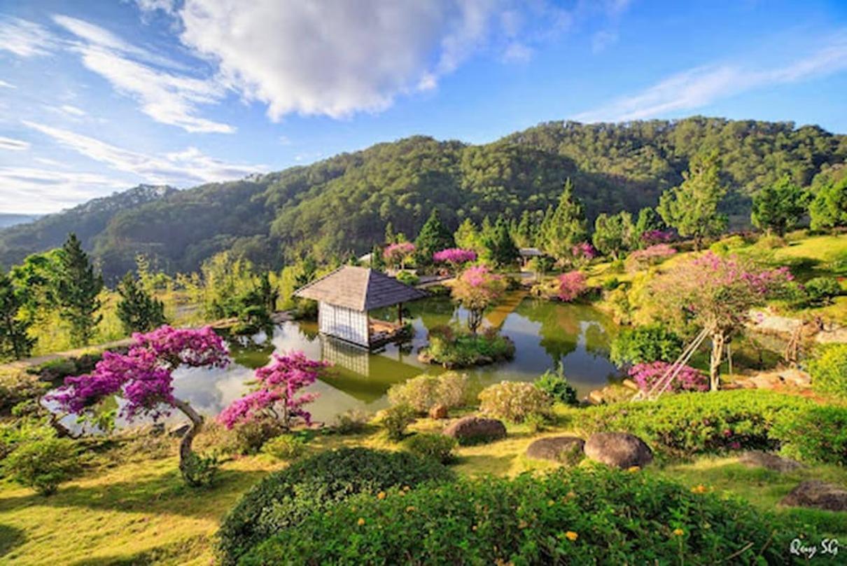 Image: Fingerprint [6 weeks]