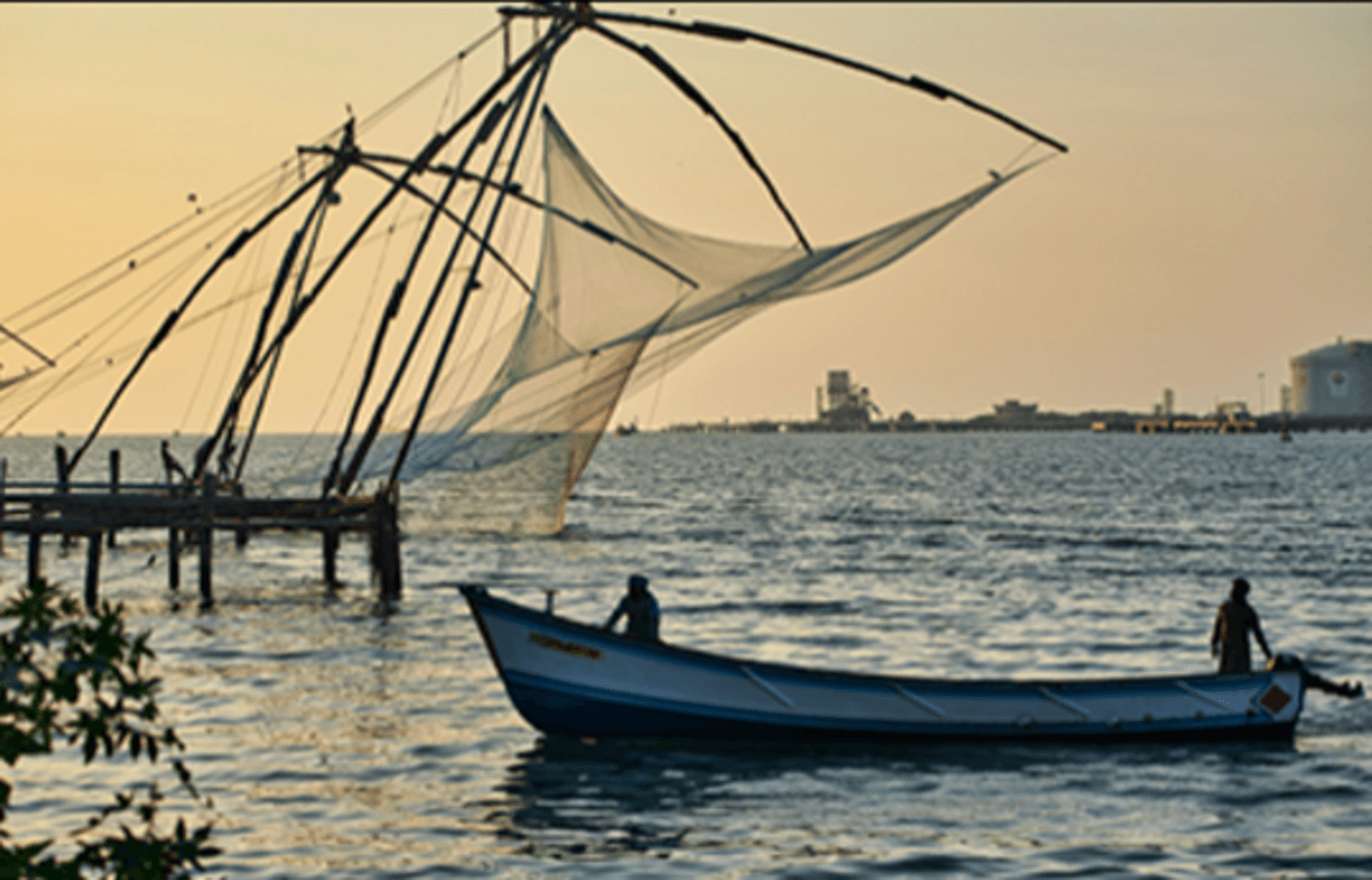 Image: On the Map [4 week]