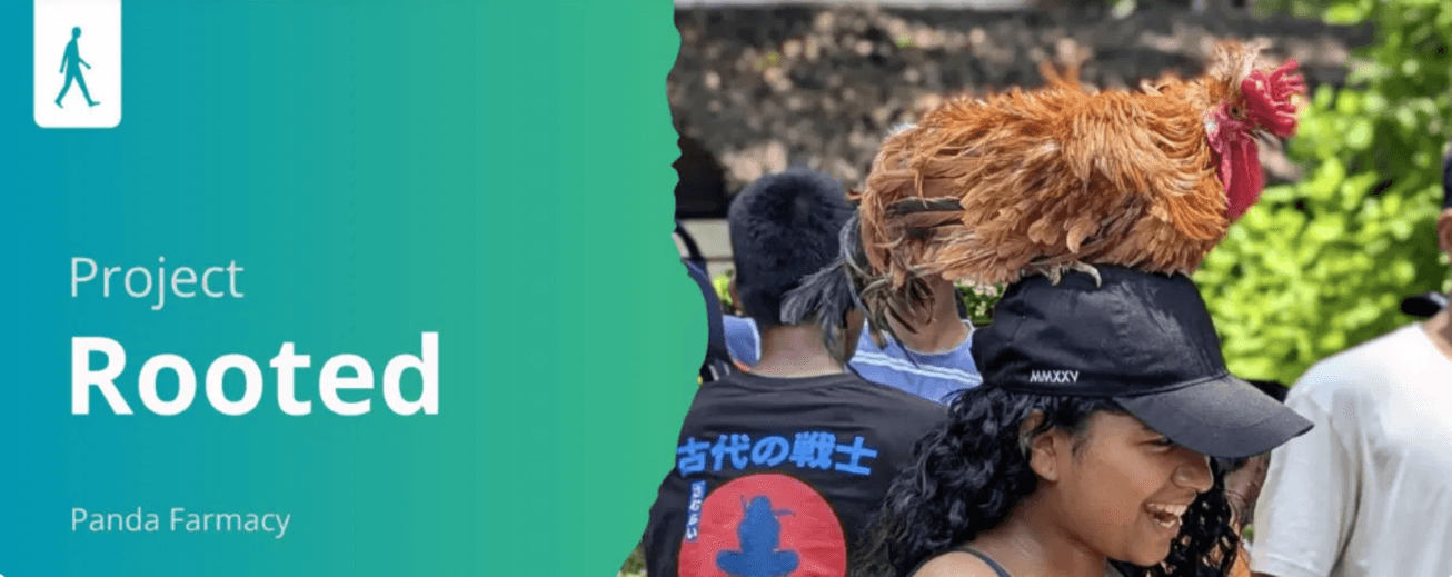 Image: Rooted [4 weeks]