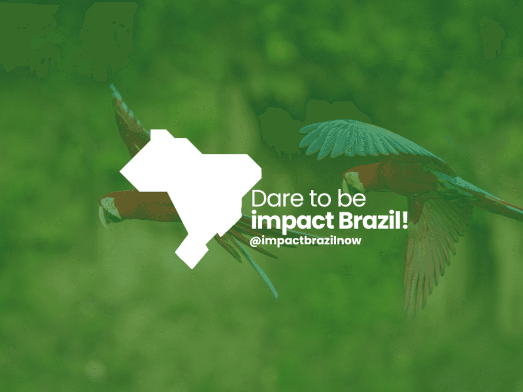 Image: [Impact Brazil]- AI Data Scientist Intern