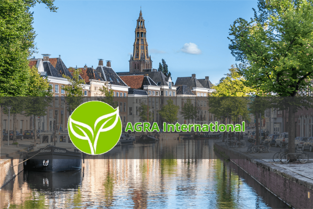 Image: Multilingual Internship Coordinator and Project Manager