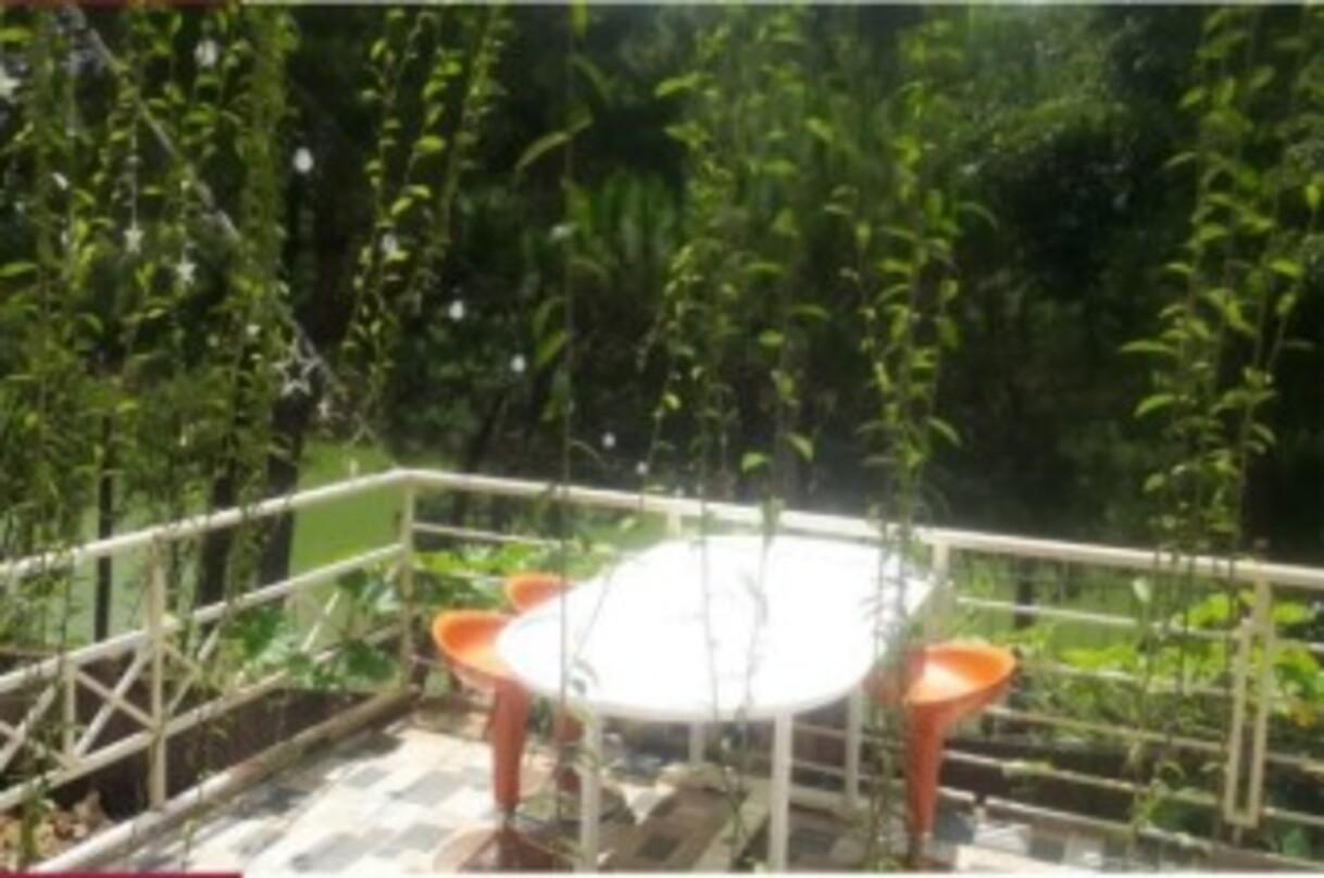 Image: On the Map [6 weeks]