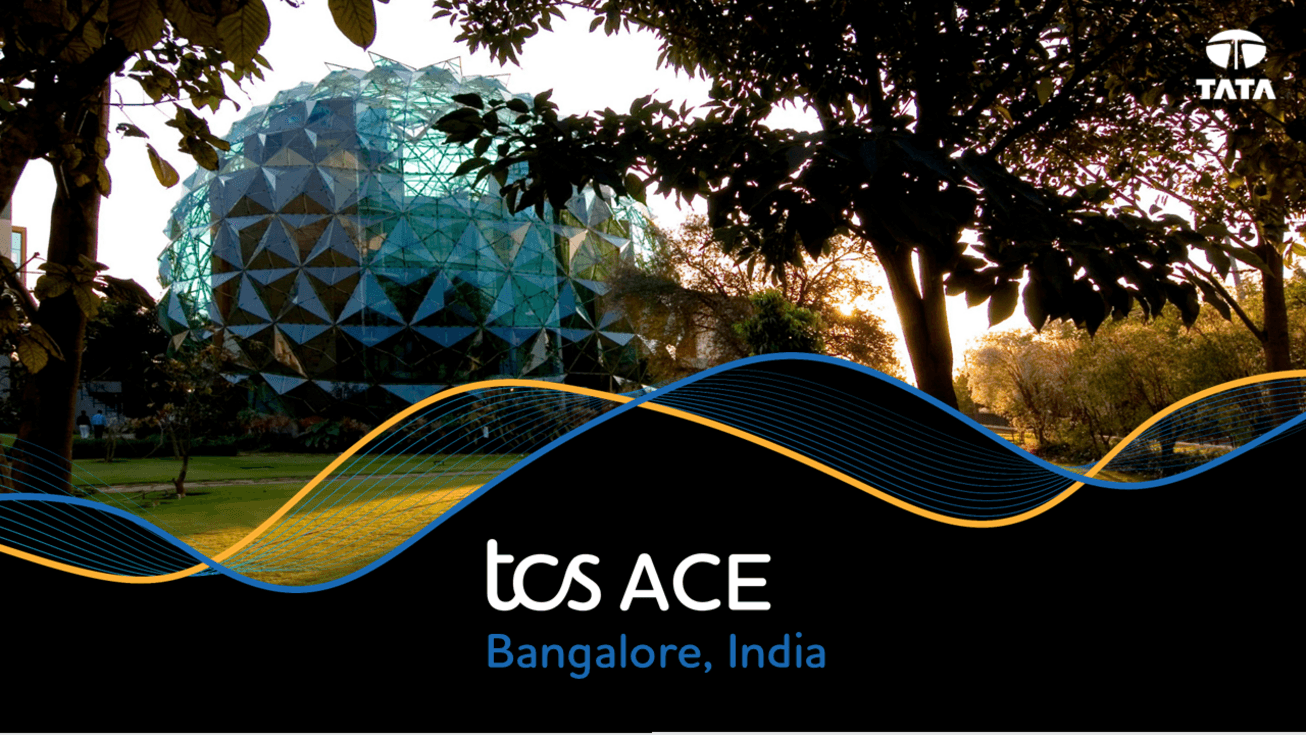 Image: ACE Program | French Service Desk Analyst