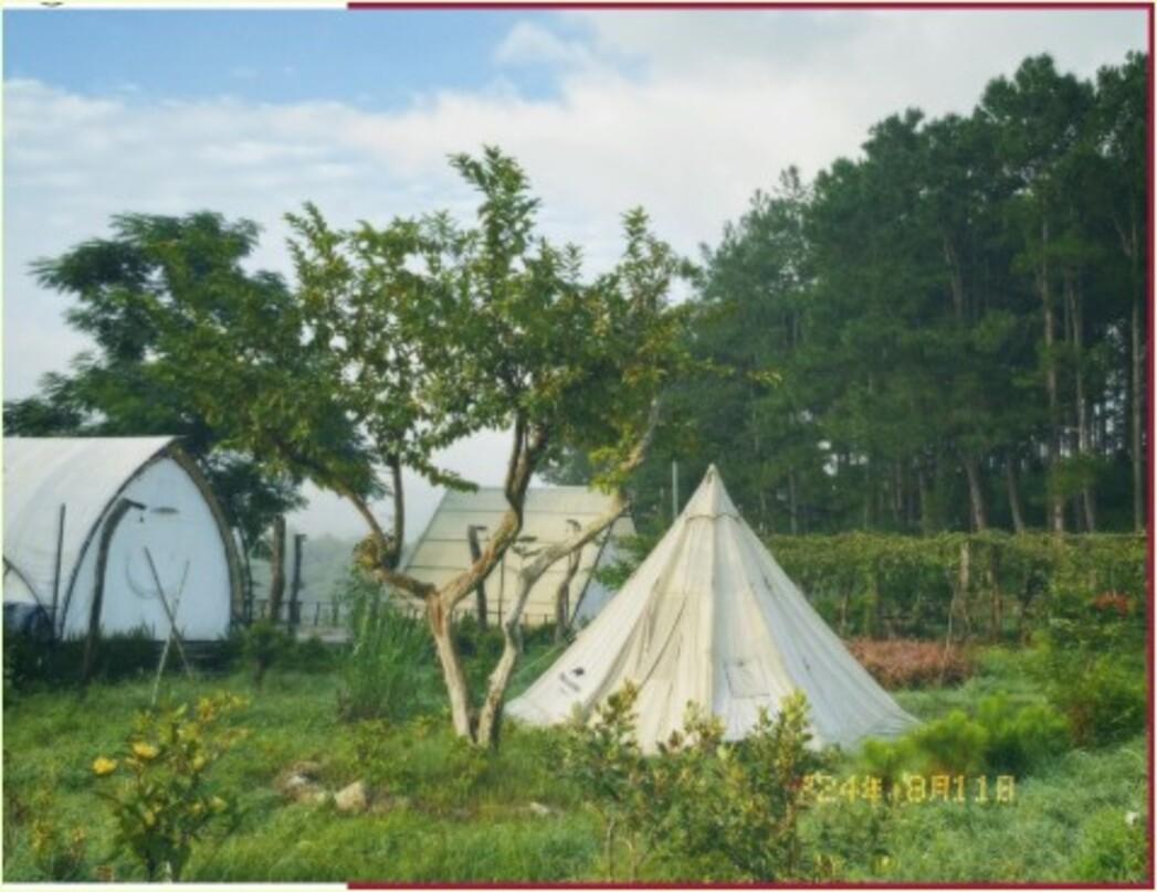 Image: Happy Bus [6 weeks]