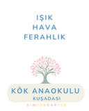 Kök Anaokulu - Company Logo