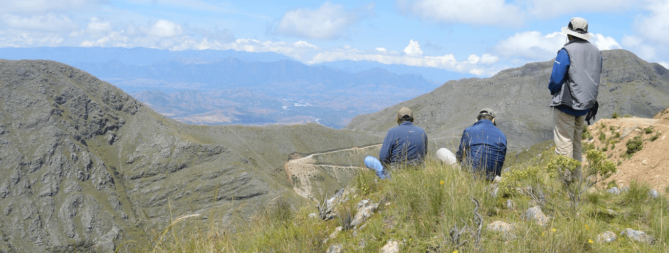 Image: Green Leaders [8 weeks]