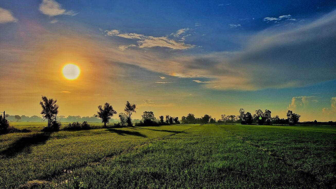 Image: On the Map [6 weeks]