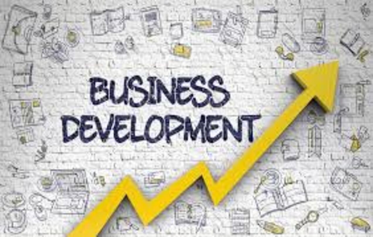 Image: Business Development Intern