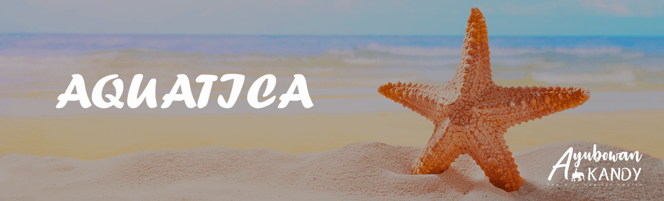 Image: Aquatica