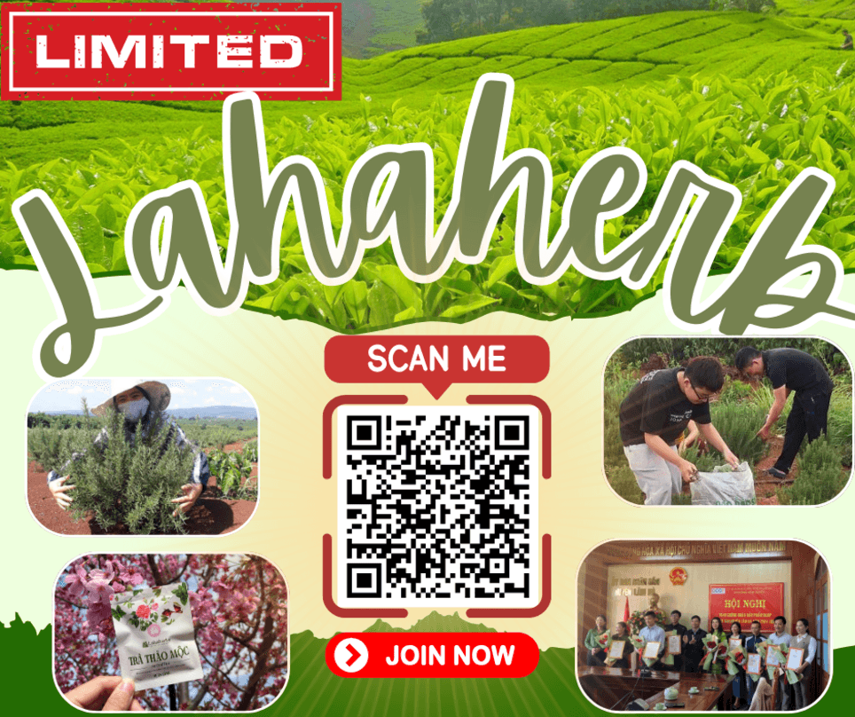 Image: Eco City [6 weeks]