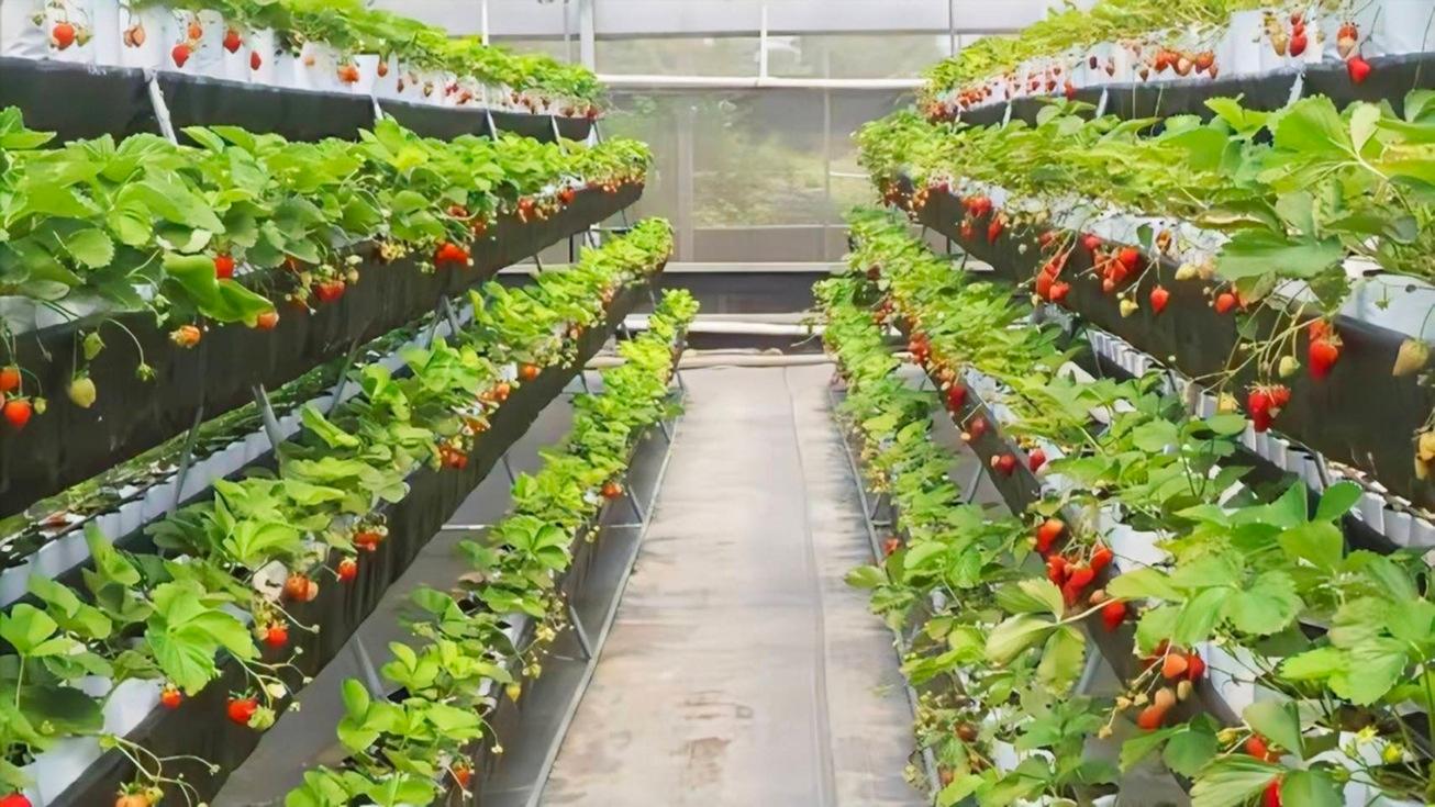 Image: On the Map [8 weeks]