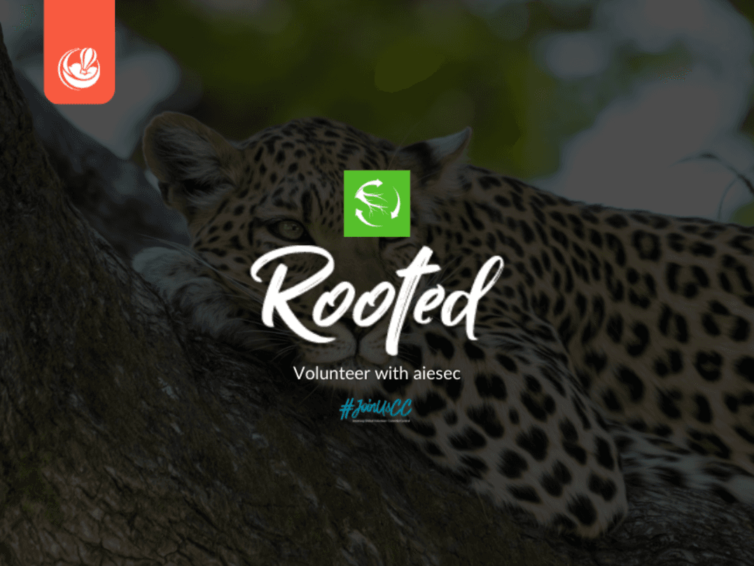 Image: Rooted