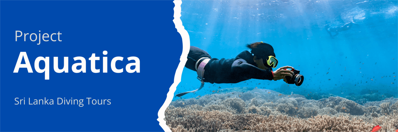 Image: Aquatica [6 weeks]