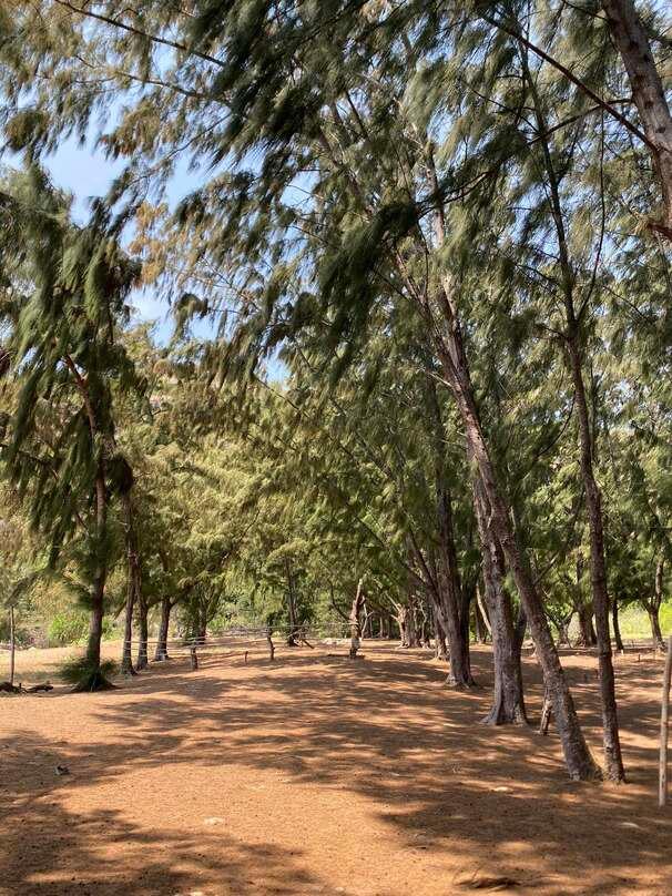Image: Eco City [6 weeks]