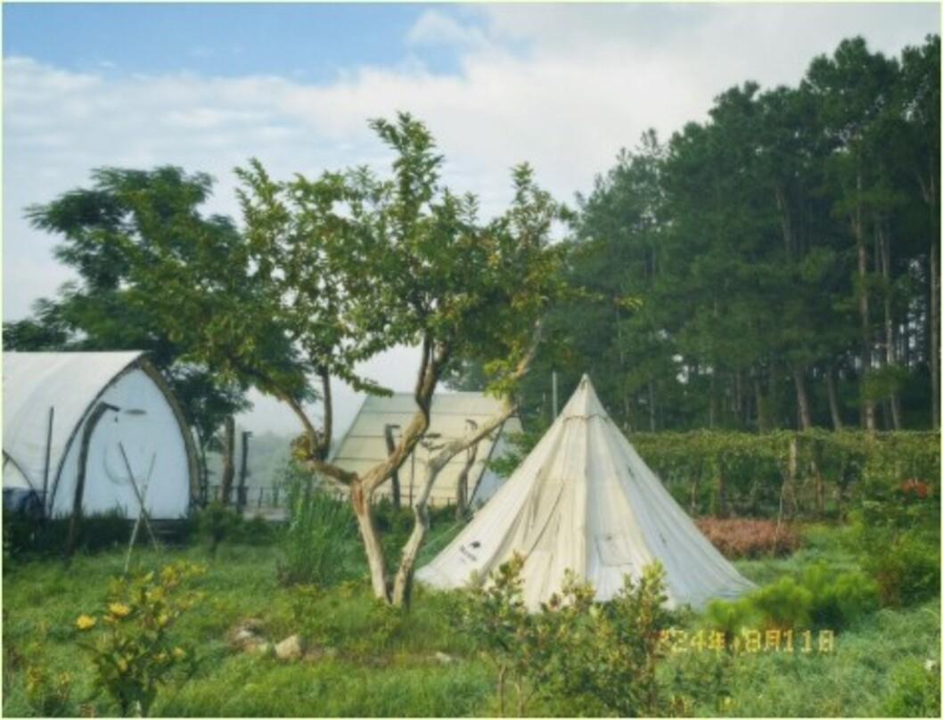 Image: Happy Bus [6 weeks]