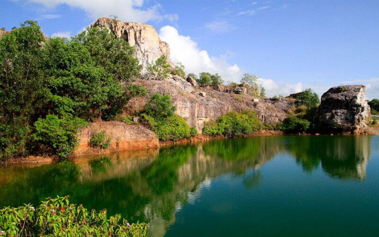 Image: Green Leaders [6 weeks]