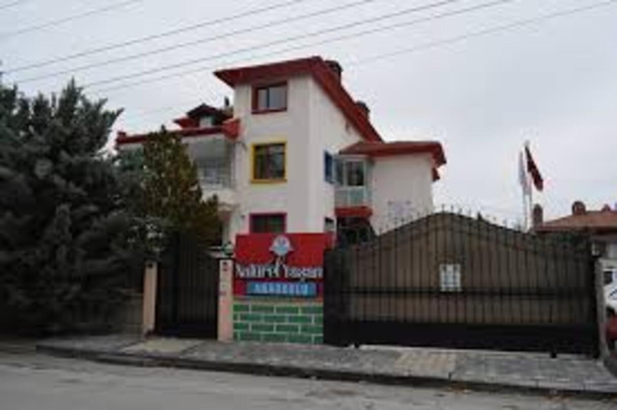 Image: Fingerprint [6 weeks]