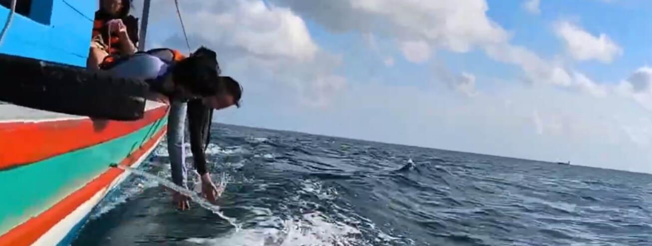 Image: Aquatica [6 weeks]