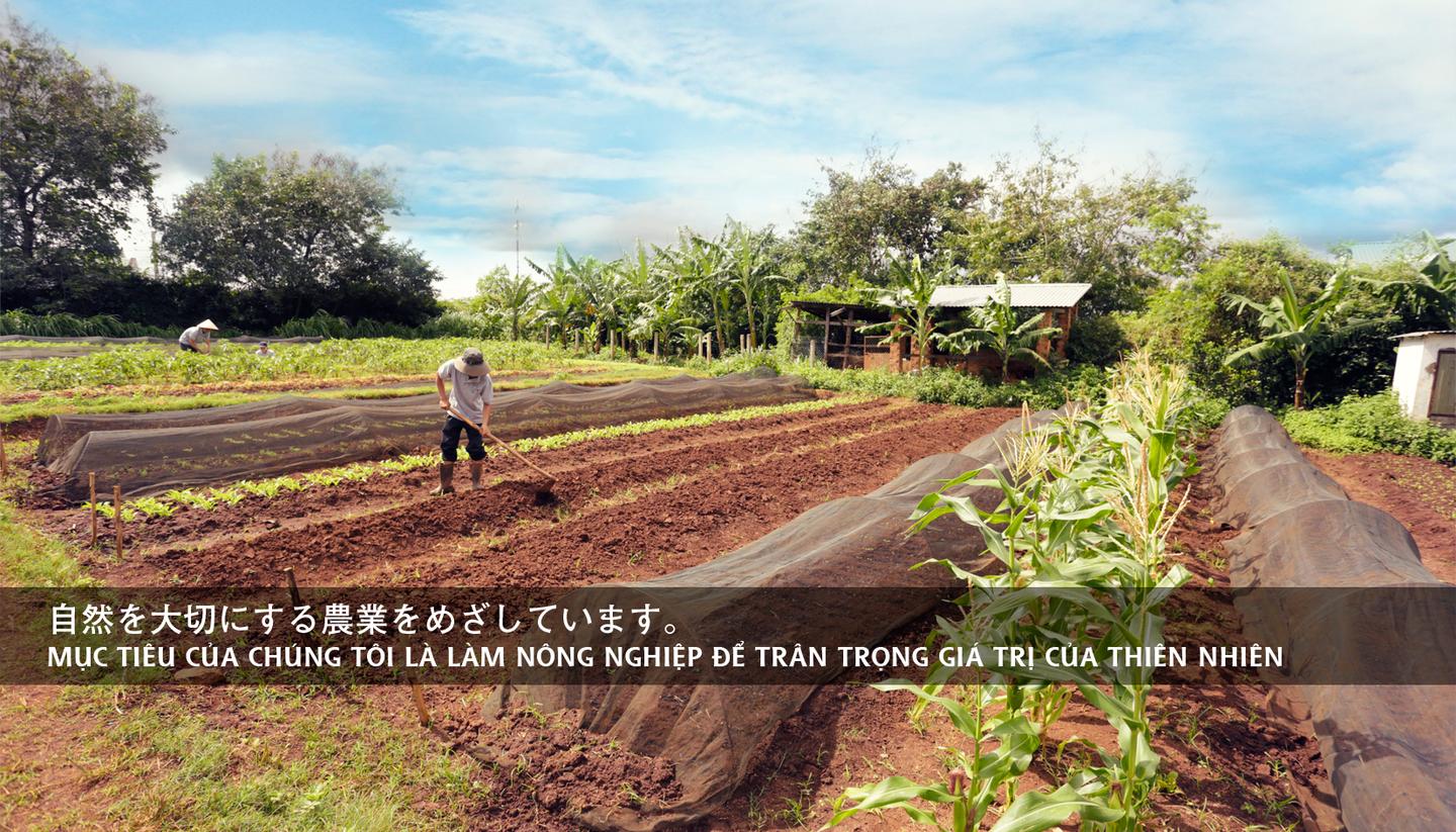 Cover Photo