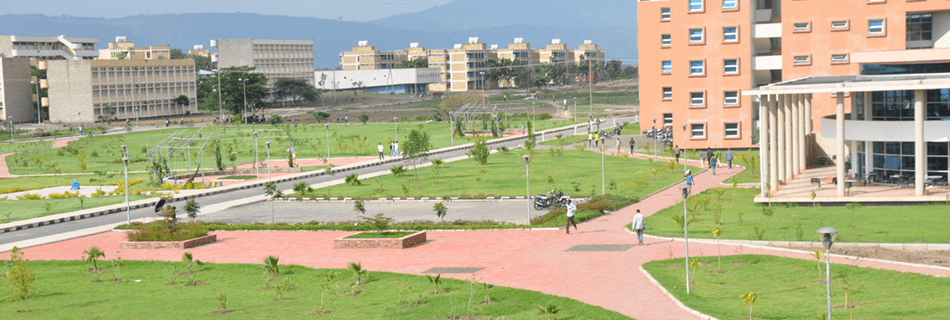 Cover Photo