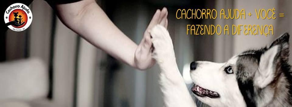 Cover Photo