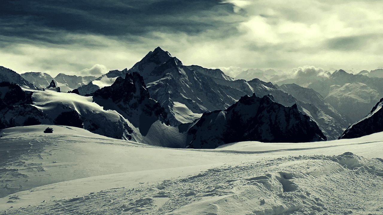 Cover Photo