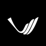 Vicharak Computers Applications pvt. ltd. - Company Logo
