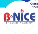 B Nice - Company Logo