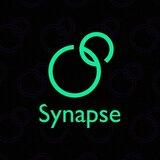 SYNAPSE SOLUTIONS  - Company Logo
