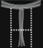 Tallentire House (Pvt) Ltd - Company Logo