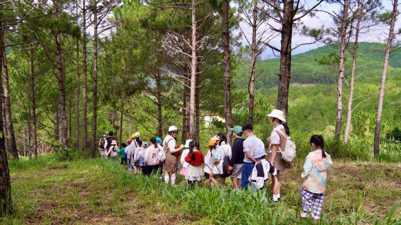 Image: Rooted [6 weeks]