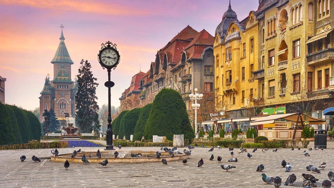 Image: Accelerate Romania | Marketing & Social Media Manager