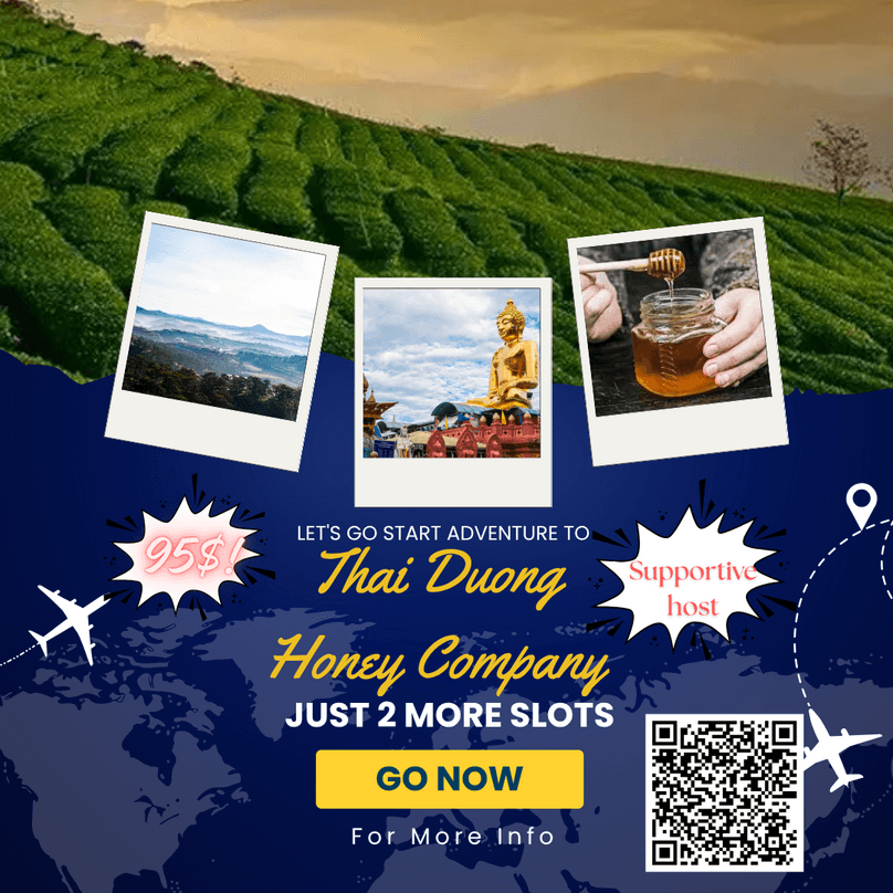 Image: Eco City [6 weeks]