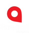 PAMİROL SİGORTA ARACILIK HİZMETLER LİMİTED ŞİRKETİ - Company Logo