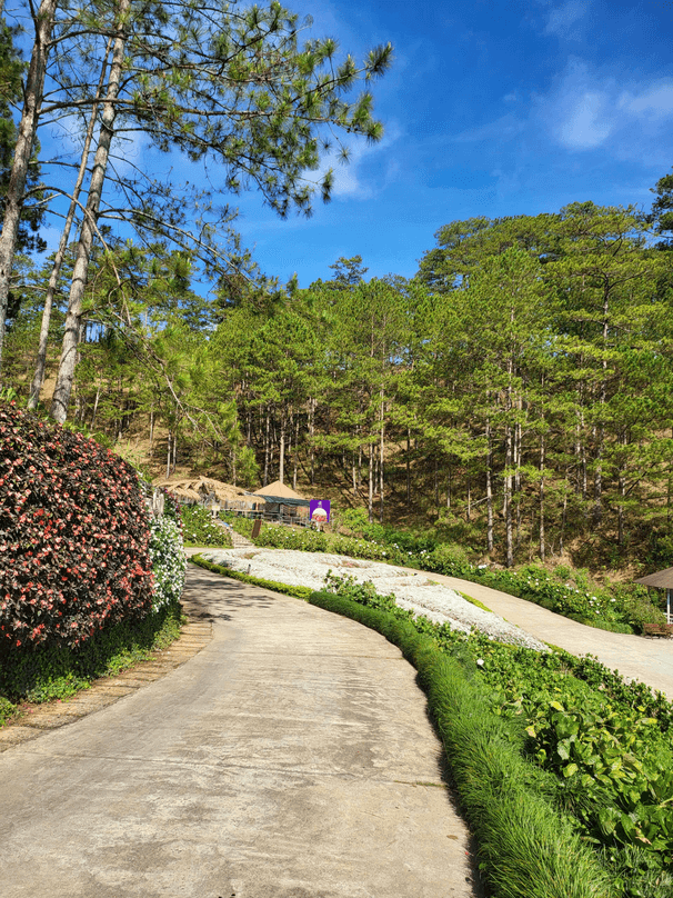 Image: Eco City [6 weeks]