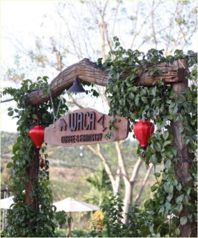 Image: On the Map [8 weeks]