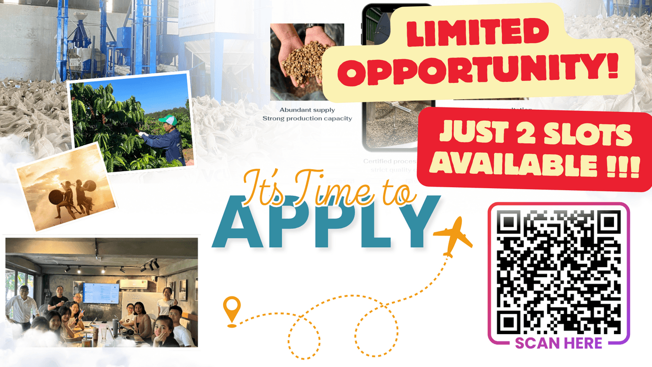 Image: On the Map [6 weeks]