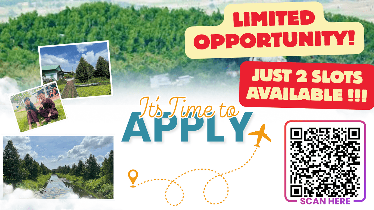 Image: On the Map [6 weeks]