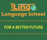 ILINGO EDUCATION JOINT STOCK COMPANY - Company Logo