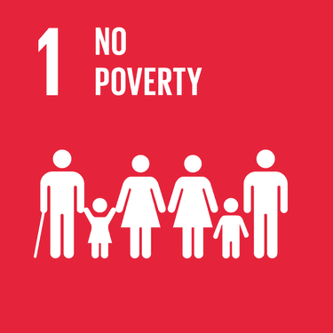 Image: No Poverty - Target 1.2
