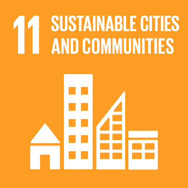 Image: Sustainable Cities And Communities - Target 11.4